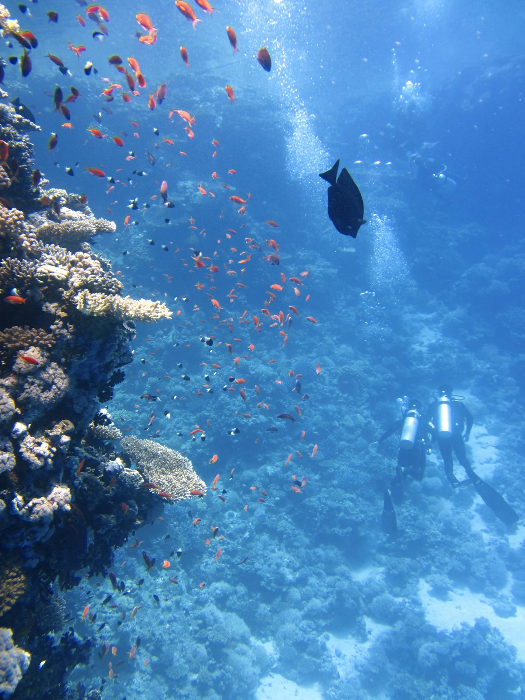 蛟龙号完成第三百次潜水，中国深海探索的新里程碑