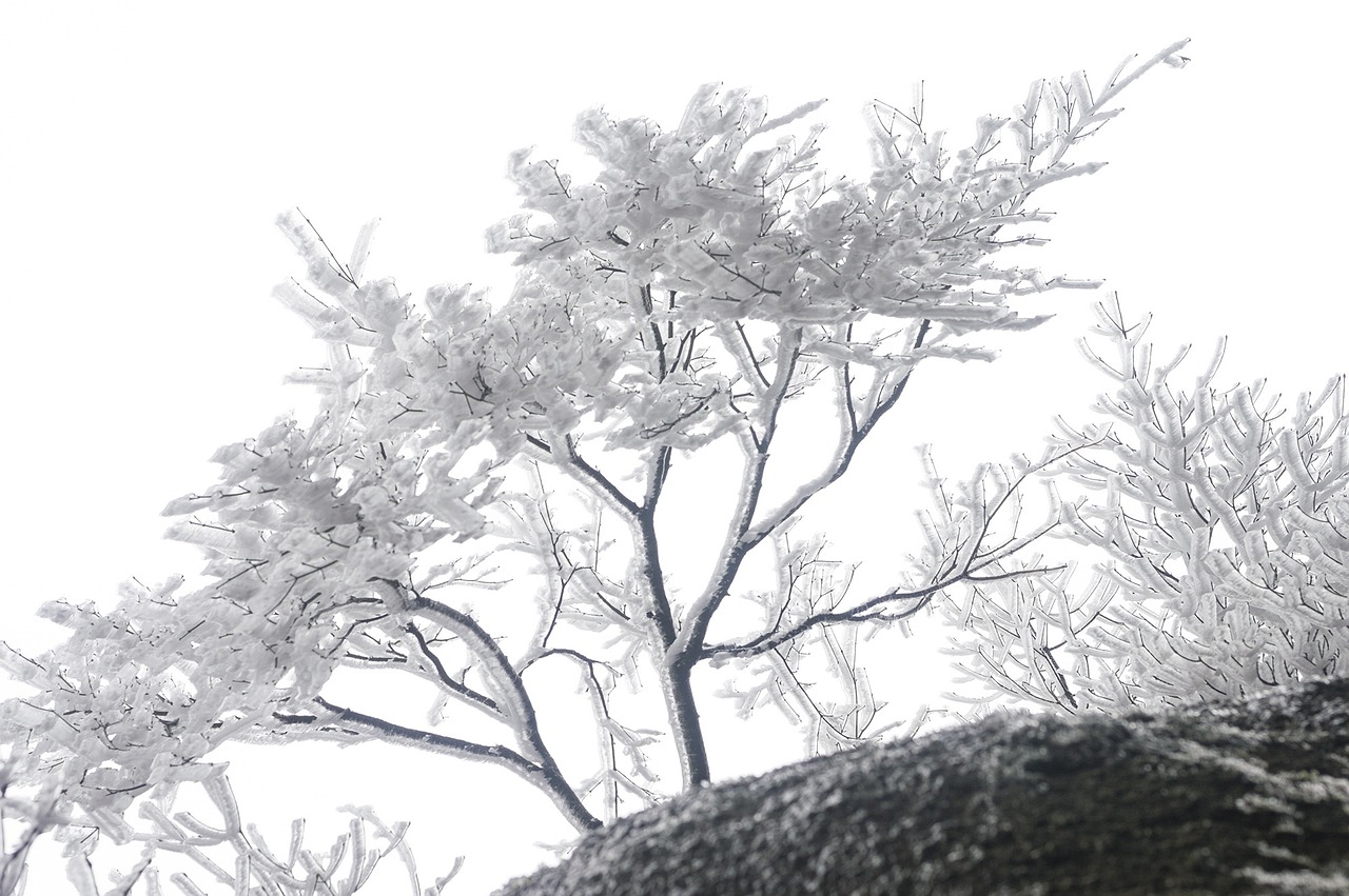 穿越历史的江南烟雨，探访杭州南山路的千年风韵