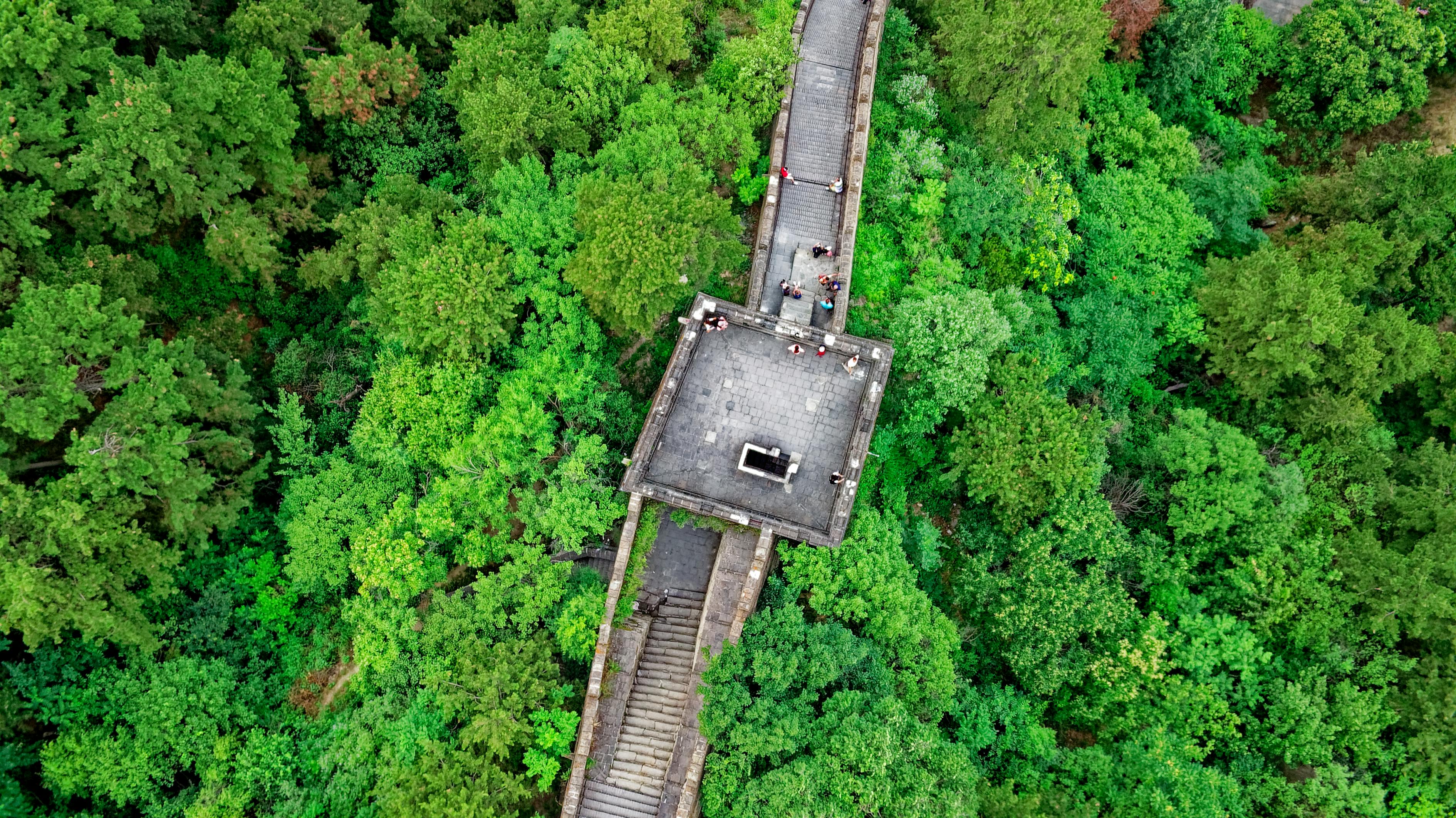 探索瑰丽武夷山，一座山水间的茶乡地图与文化之旅