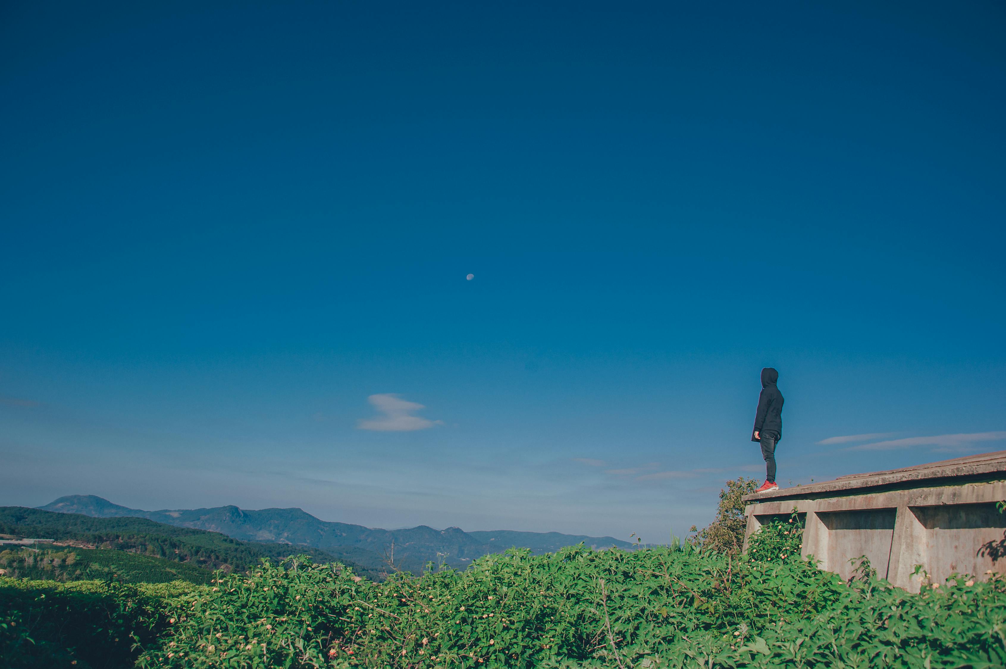 穿越六盘山的绿色乐章，宁夏的生态文明之旅