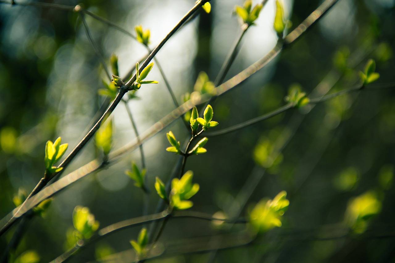 探秘厦门三月的春日暖阳与海风轻拂——踏足厦门，感受不一样的春天气息